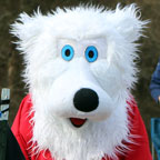 2017 Polar Plunge